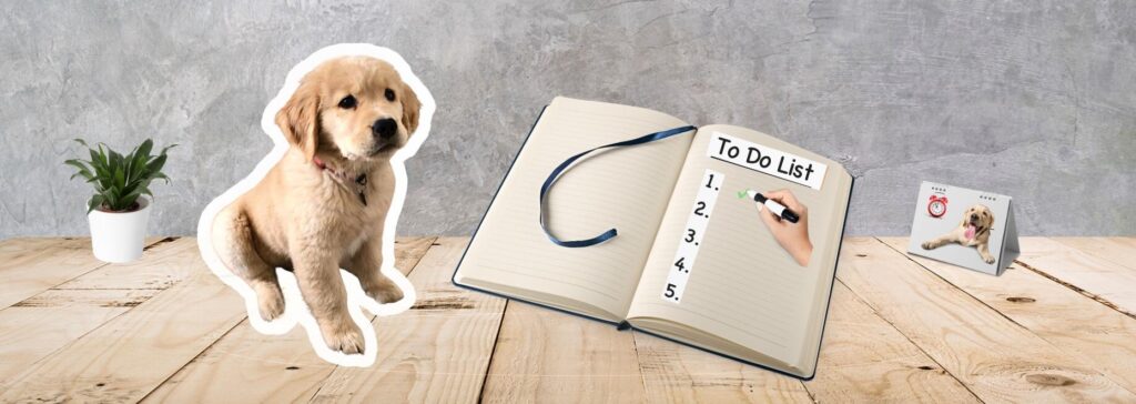 ​​​​5 things you need to do before bringing a puppy home